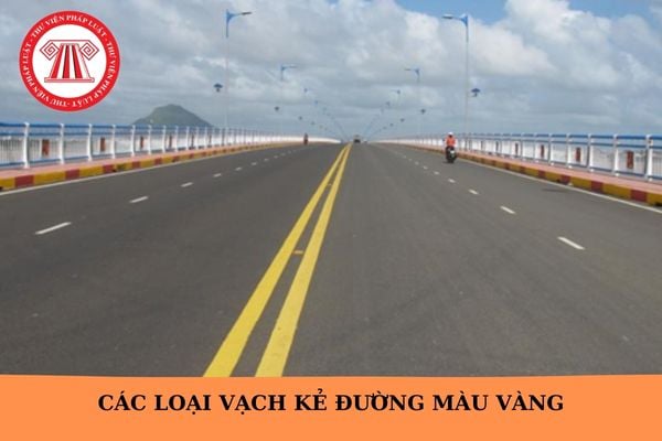 Các loại vạch kẻ đường màu vàng? Lỗi không tuân thủ vạch kẻ đường 2025?