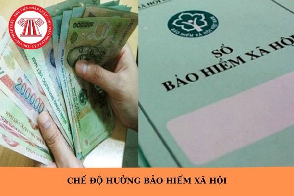 Chế độ hưởng bảo hiểm xã hội mới nhất theo Luật Bảo hiểm xã hội 2024?