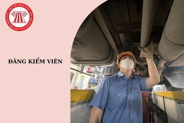 Công việc chuyên môn của đăng kiểm viên phương tiện giao thông đường bộ bao gồm những gì? 