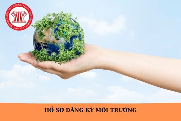 Hồ sơ đăng ký môi trường 2025? Mẫu đăng ký môi trường file word?