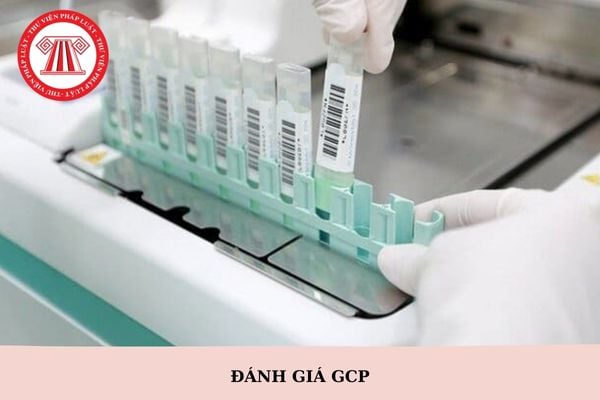 GCP là gì trong y tế? Đoàn đánh giá GCP trong y tế sẽ do cơ quan nào thành lập?