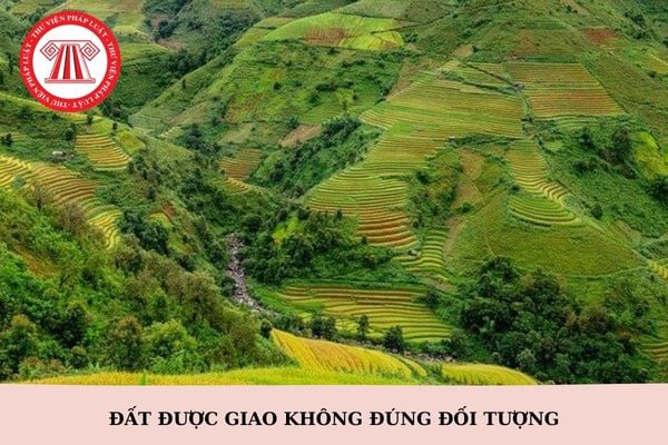 Đất được giao không đúng đối tượng có bị thu hồi đất không?