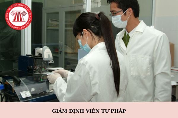 Tiêu chuẩn bổ nhiệm giám định viên tư pháp theo vụ việc trong lĩnh vực kế hoạch và đầu tư từ 15/02/2025?