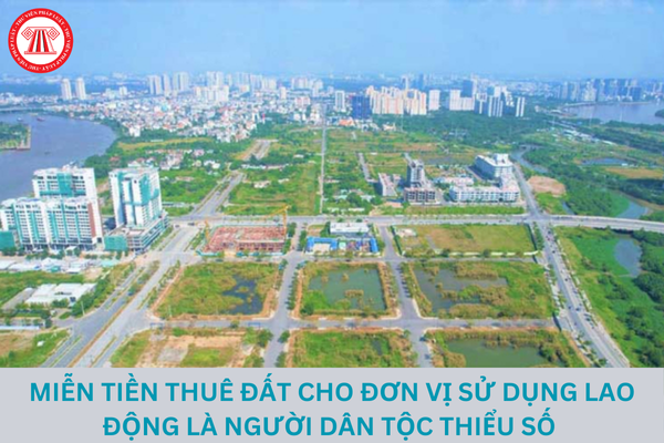 Sử dụng lao động là người dân tộc thiểu số có được miễn tiền thuê đất?