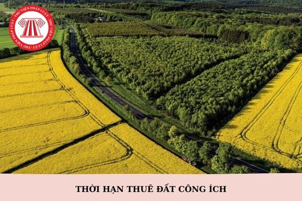 Thời hạn thuê đất công ích theo Luật Đất đai 2024 là bao lâu?