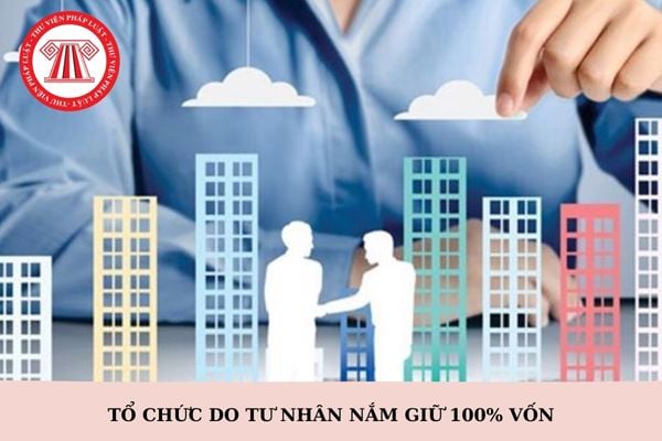 Tổ chức do tư nhân nắm giữ 100% vốn từ ngày 1/5/2025 được phân loại như thế nào?