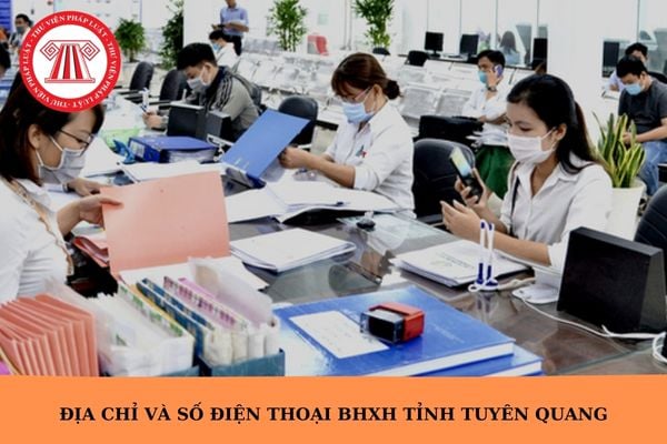 Hỏi đáp Pháp luật