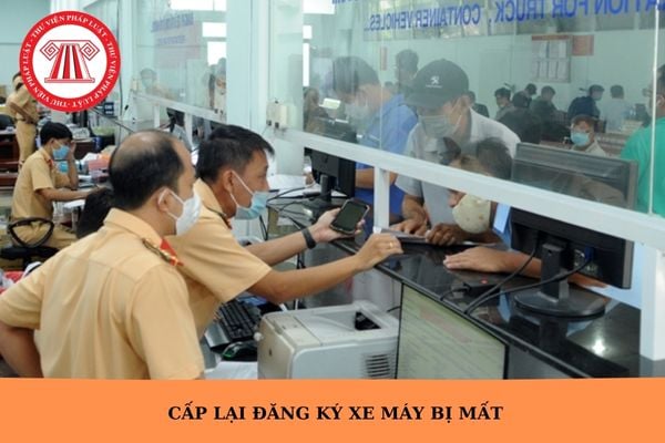Hỏi đáp Pháp luật