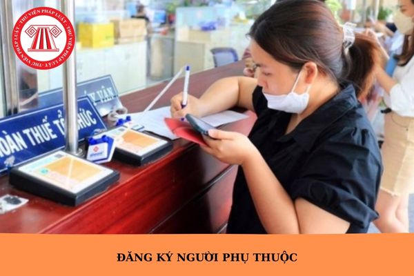 Hỏi đáp Pháp luật