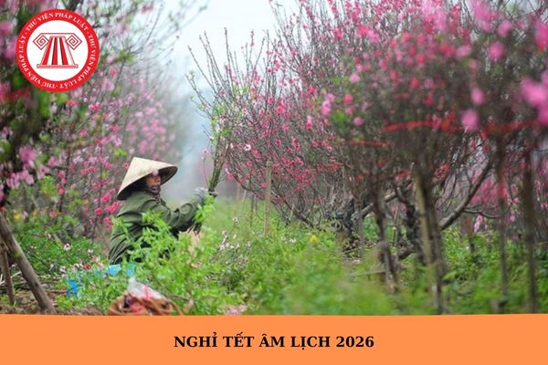 Hỏi đáp Pháp luật