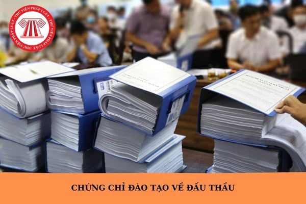 Hỏi đáp Pháp luật