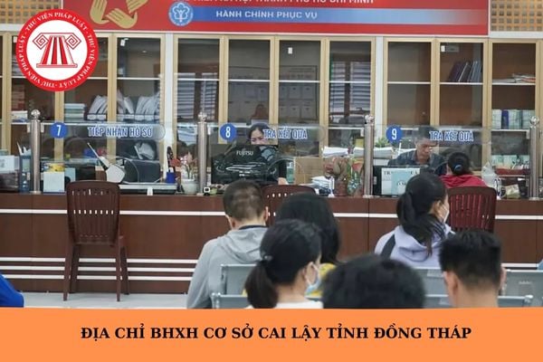 Hỏi đáp Pháp luật