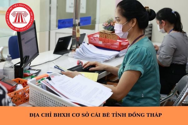 Hỏi đáp Pháp luật