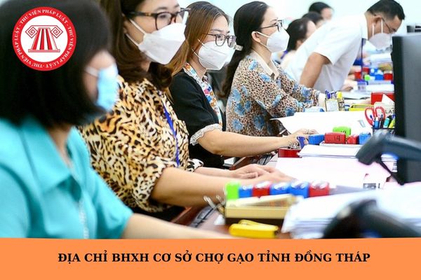 Hỏi đáp Pháp luật