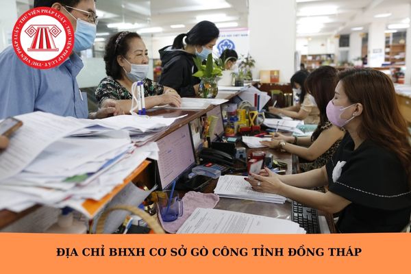 Hỏi đáp Pháp luật
