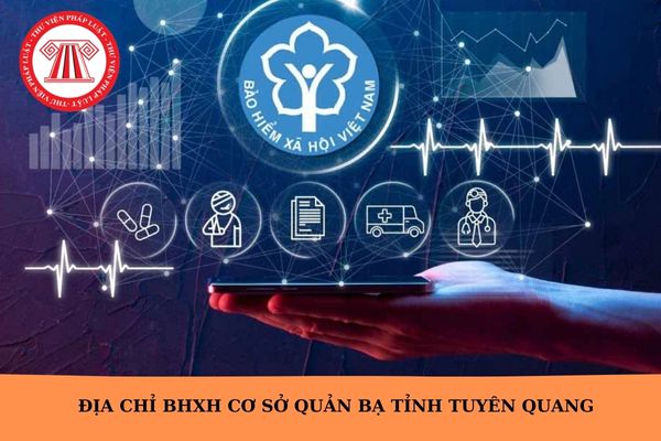 Hỏi đáp Pháp luật