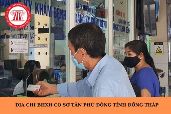 Hỏi đáp Pháp luật