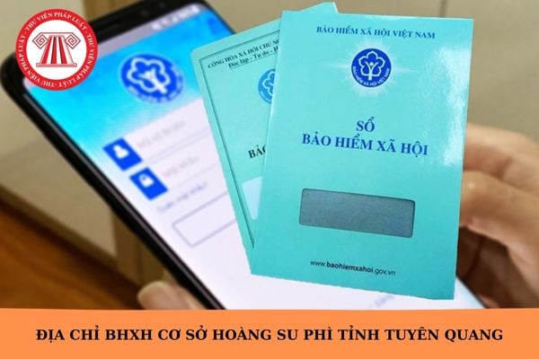 Hỏi đáp Pháp luật