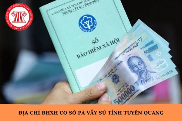 Hỏi đáp Pháp luật