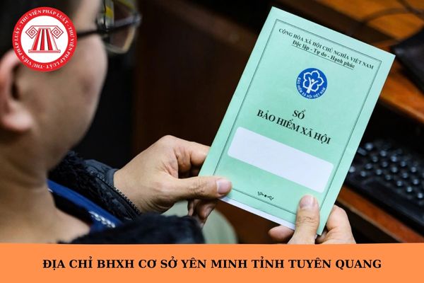 Hỏi đáp Pháp luật