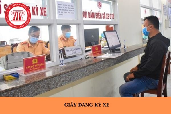 Hỏi đáp Pháp luật