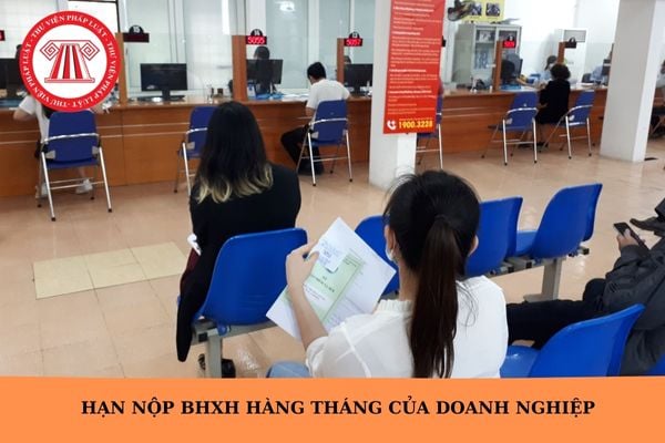 Hỏi đáp Pháp luật