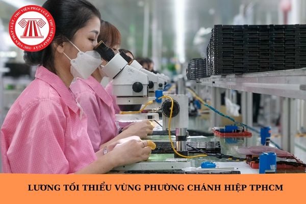Hỏi đáp Pháp luật