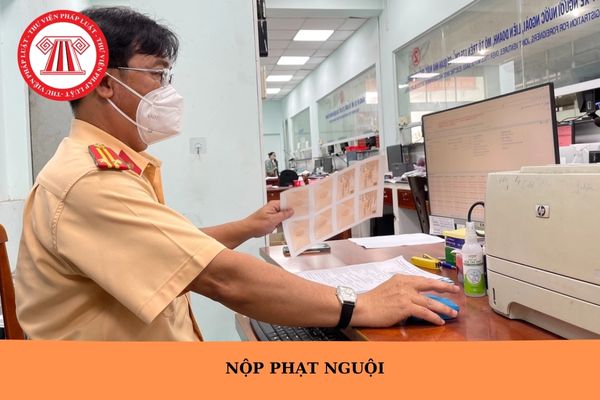 Hỏi đáp Pháp luật