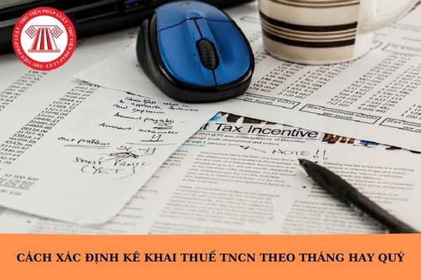 Hỏi đáp Pháp luật