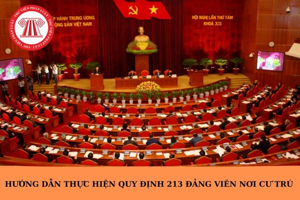 Hỏi đáp Pháp luật