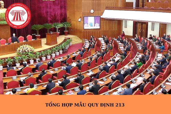 Hỏi đáp Pháp luật