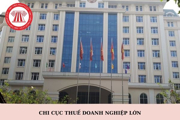 Chi cục Thuế doanh nghiệp lớn là gì? Chi cục Thuế doanh nghiệp lớn có các nhiệm vụ gì?