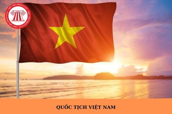 Nhập quốc tịch Mỹ có mất quốc tịch Việt Nam không?