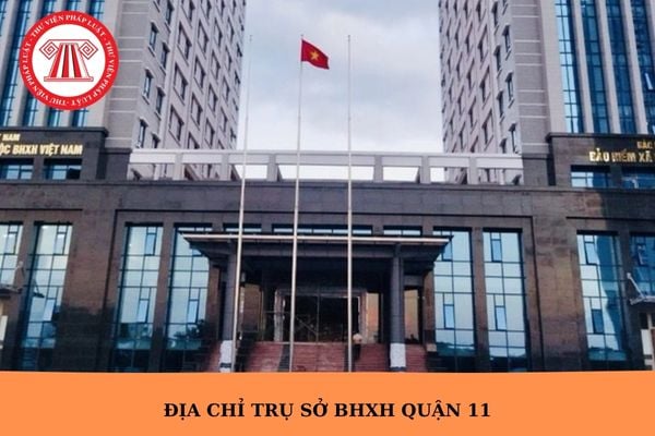 Hỏi đáp Pháp luật