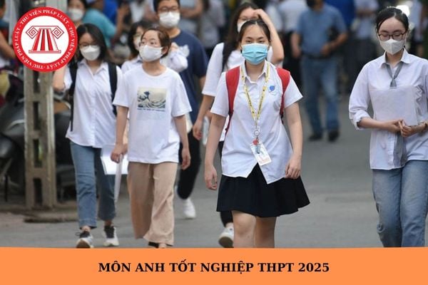 Full đáp án đề môn Anh mã đề 19 thi tốt nghiệp THPT 2025 thế nào?