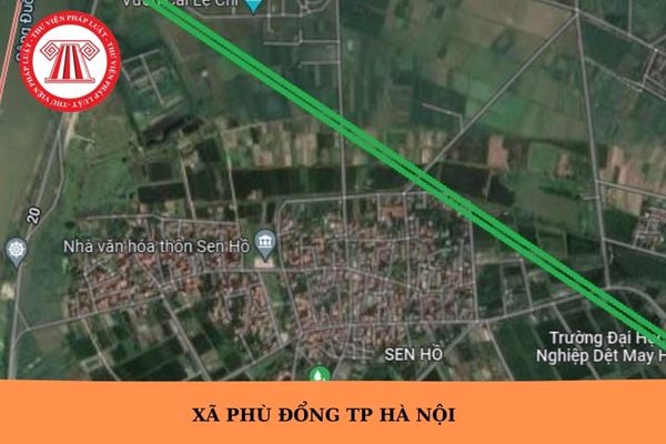 Hỏi đáp Pháp luật
