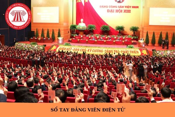 Hỏi đáp Pháp luật