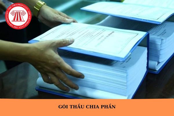 Hỏi đáp Pháp luật