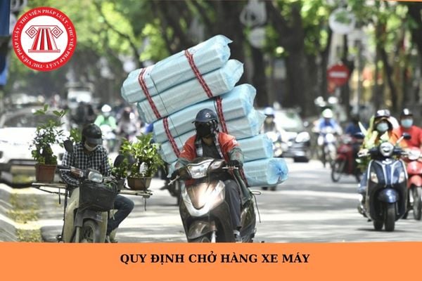 Hỏi đáp Pháp luật
