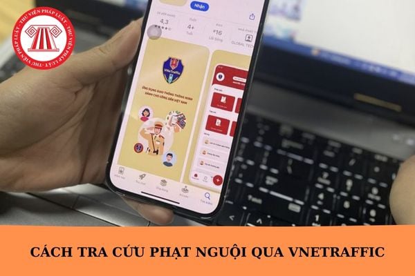 Cách tra cứu phạt nguội qua VNeTraffic từ năm 2025?