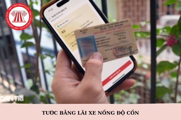 Tước bằng lái xe nồng độ cồn có được lái xe không?