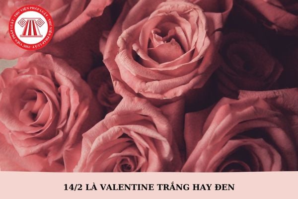 14/2 là valentine trắng hay đen? 14 tháng 2 là ngày của con trai hay con gái?