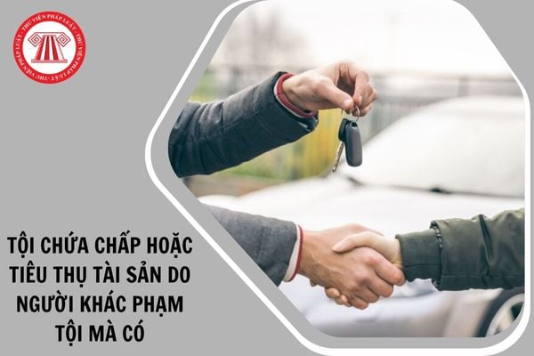 Hỏi đáp Pháp luật