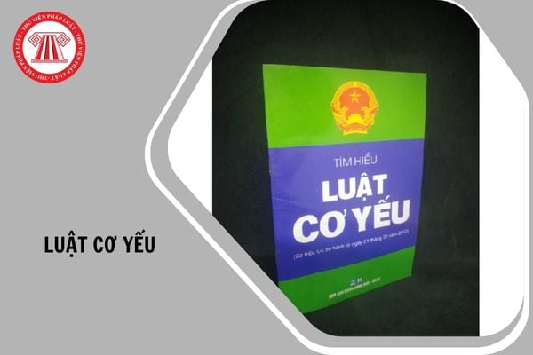 Luật Cơ yếu có bao nhiêu chương, bao nhiêu điều?