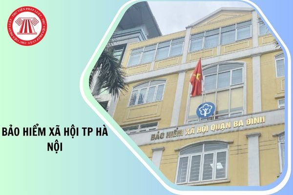 Hỏi đáp Pháp luật