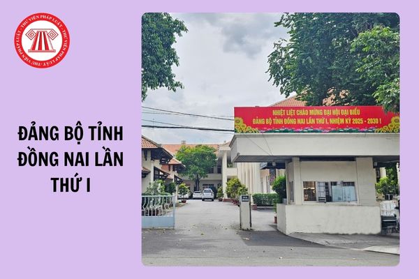 Hỏi đáp Pháp luật