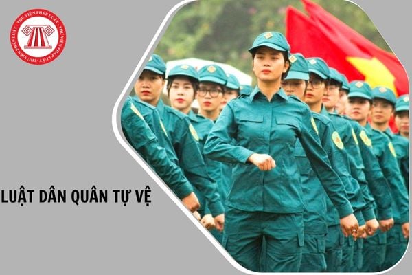 Hỏi đáp Pháp luật