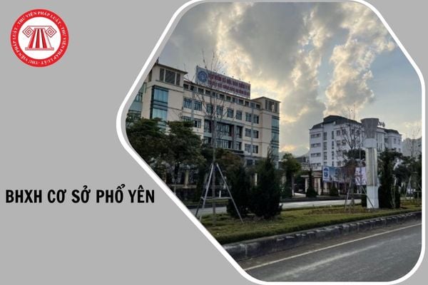 Hỏi đáp Pháp luật