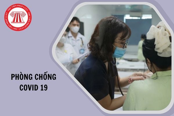 Hỏi đáp Pháp luật