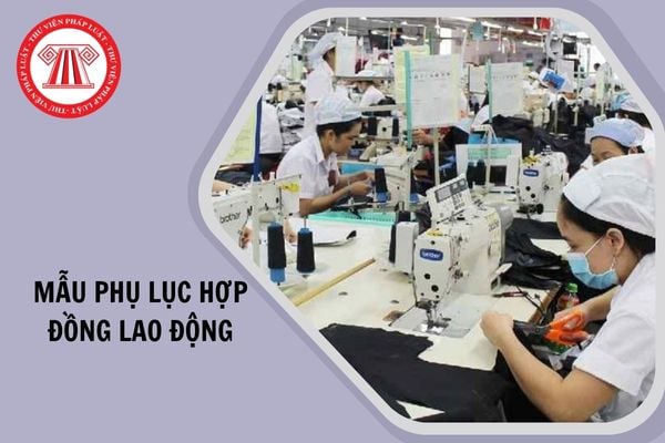 Hỏi đáp Pháp luật
